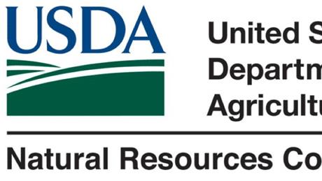 Group Banner Picture